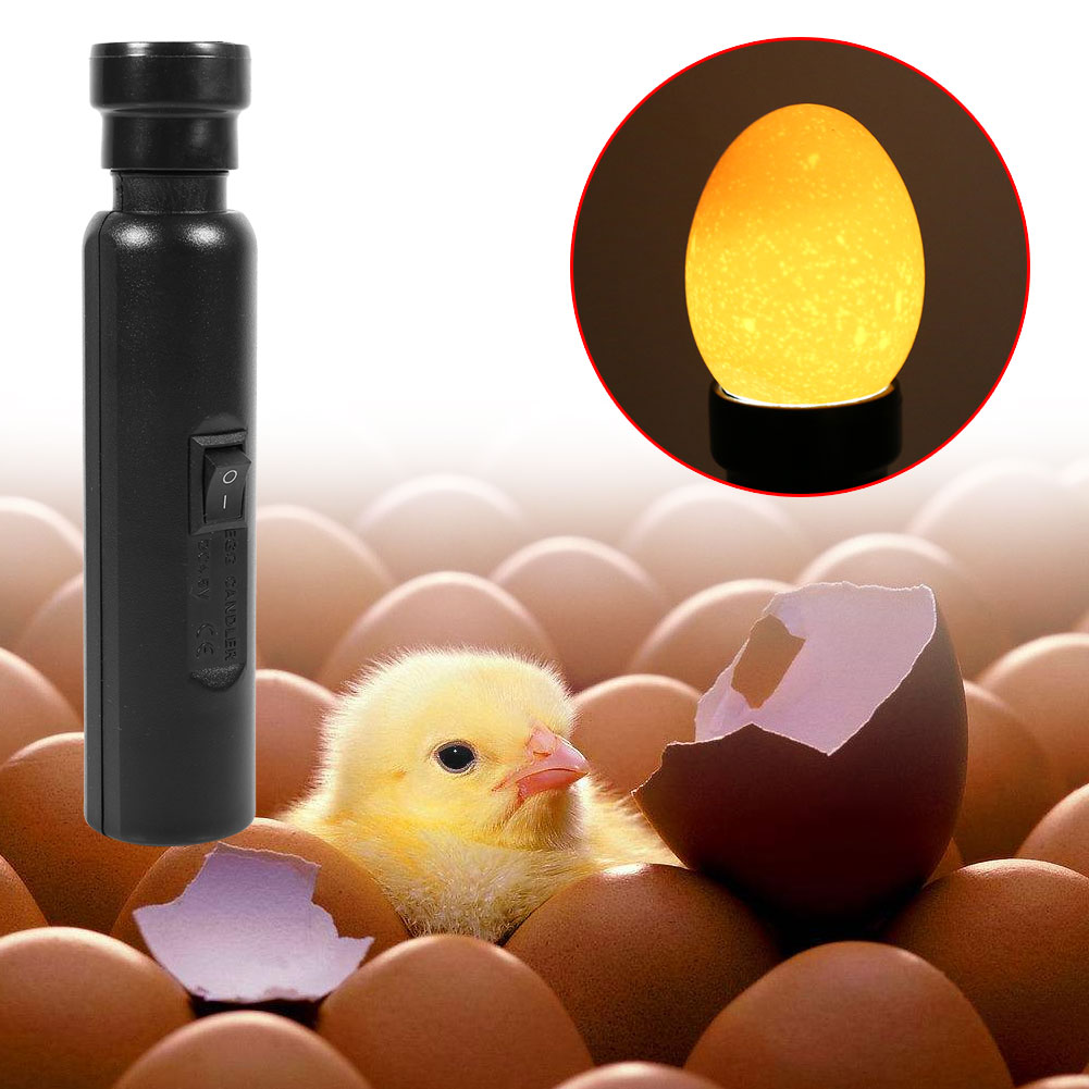 XIUHU Testeur des Oeufs Couvées d’œufs avec 220V EU Prise Mire-œufs LED Lumière 