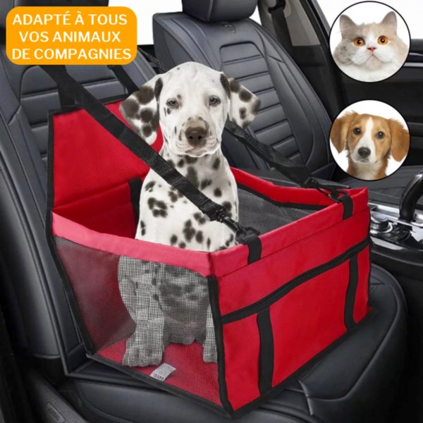 Siège de transport en voiture pour chiens et animaux de compagnie
