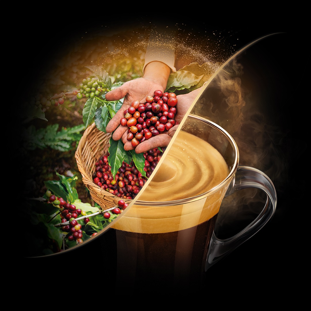 L'OR Café Espresso Ristretto Capsules compatibles avec Nespresso 400 boissons 