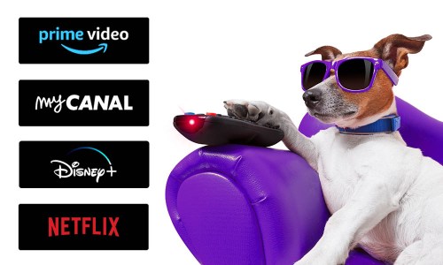 Il est facile d'accéder aux services de Netflix avec la POLAROID – ANDROID TV 32″ LED HD