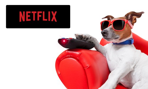 Il est facile d'accéder aux services de Netflix avec la POLAROID SMART TV LED 32' HD