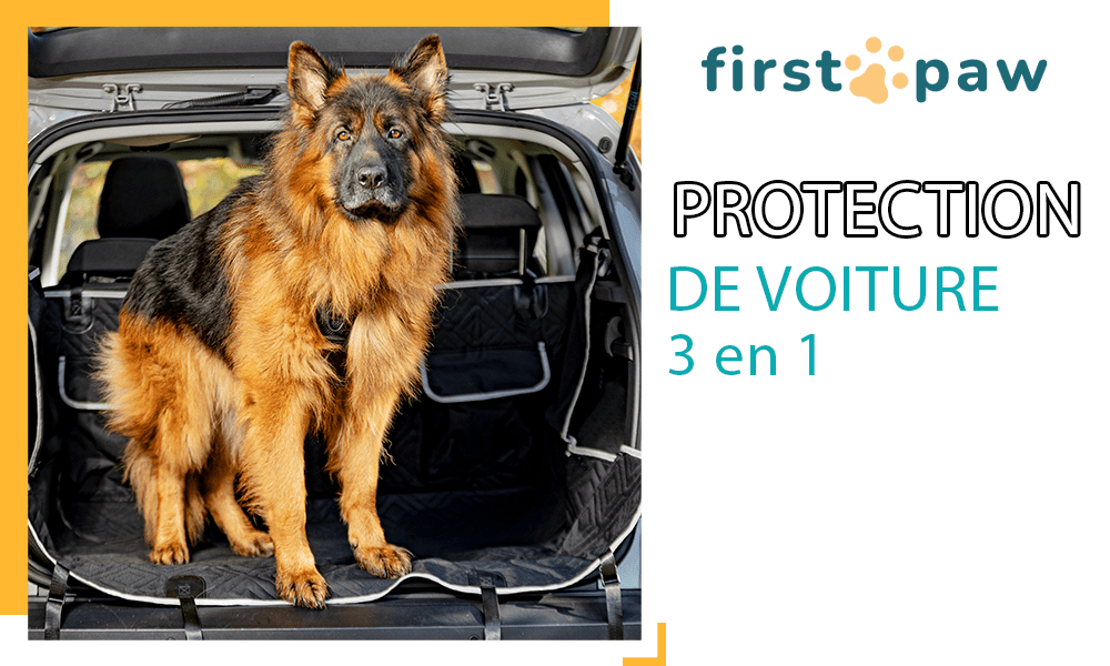 Protection de sièges de voiture pour chiens - FIRSTPAW - Universelle - Noir - Housse de sièges et coffre de voiture