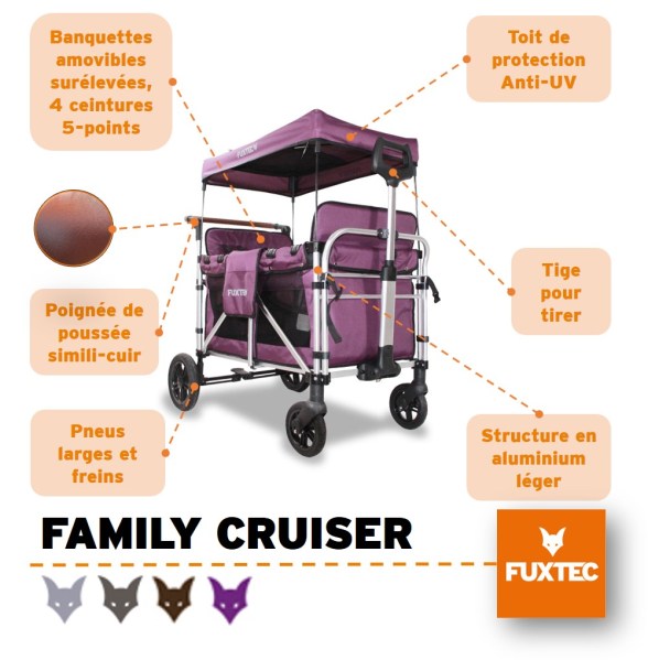 Family_Cruiser_Pourpre